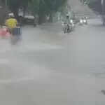 हरियाणा में 16 जिलों के लिए बारिश का अलर्ट जारी