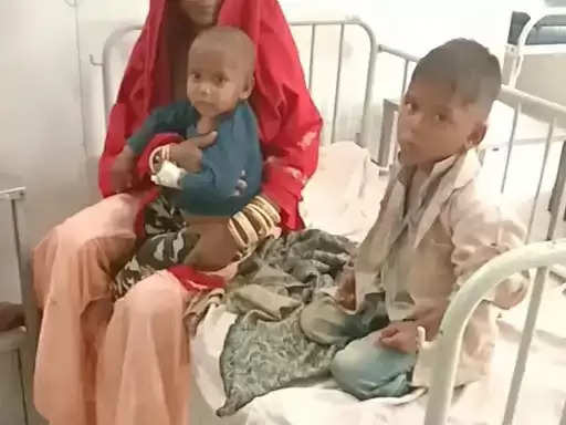 रतनजोत के बीज खाने से पांच बच्चों की हालत बिगड़ी