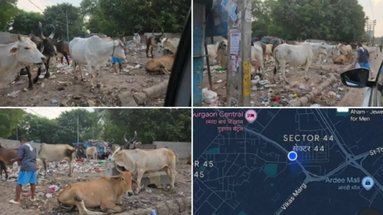 गुरुग्राम में स्वच्छता पर संजीव कपूर की तीखी टिप्पणी