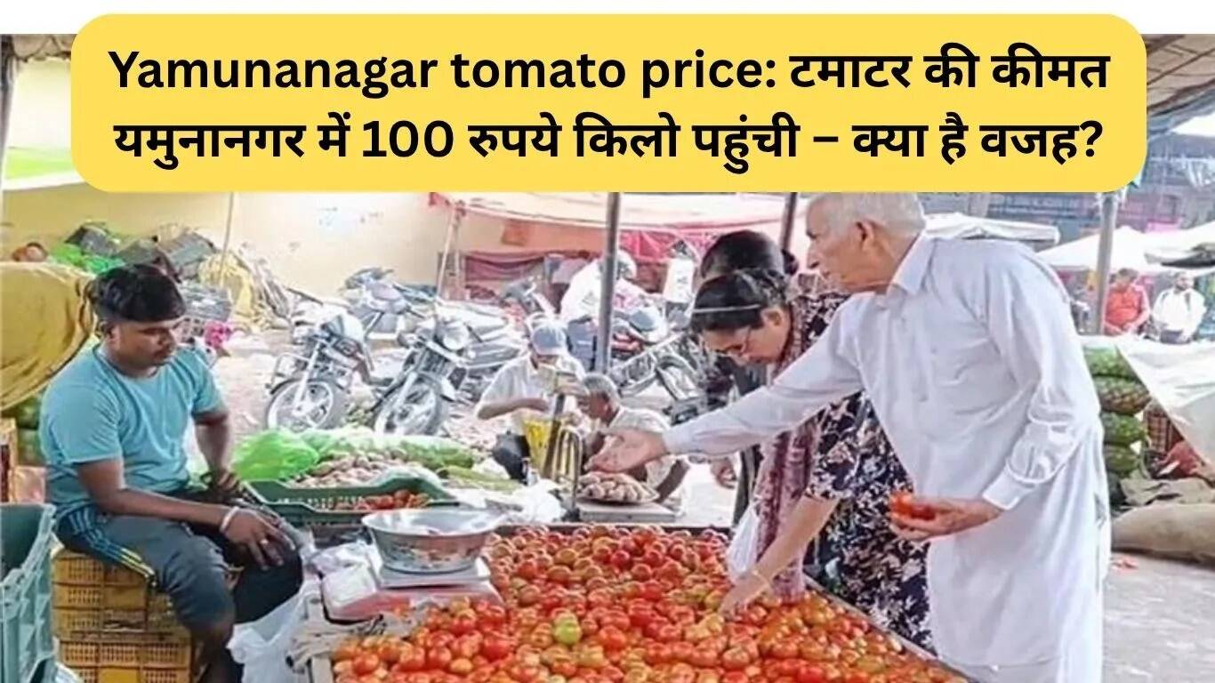 यमुनानगर में टमाटर की कीमतें 100 रुपये प्रति किलो तक पहुंचीं: जानें कारण