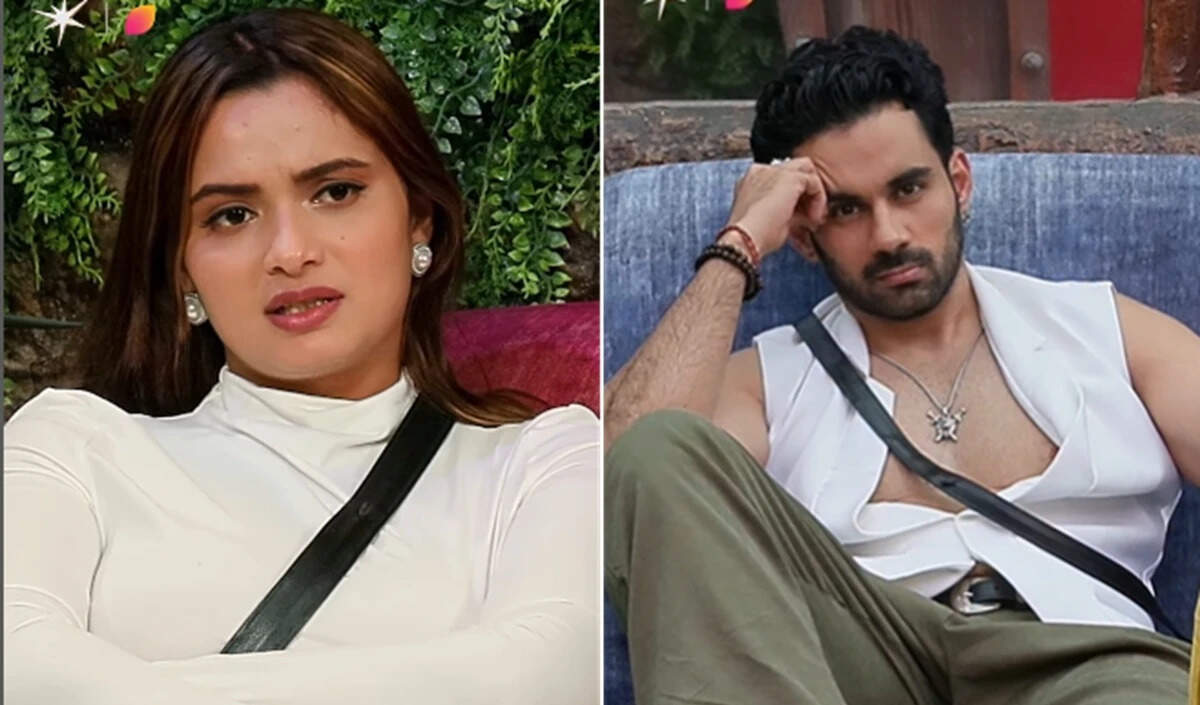 बिग बॉस 19 में डबल एविक्शन: अभिषेक बजाज और नीलम गिरी की विदाई