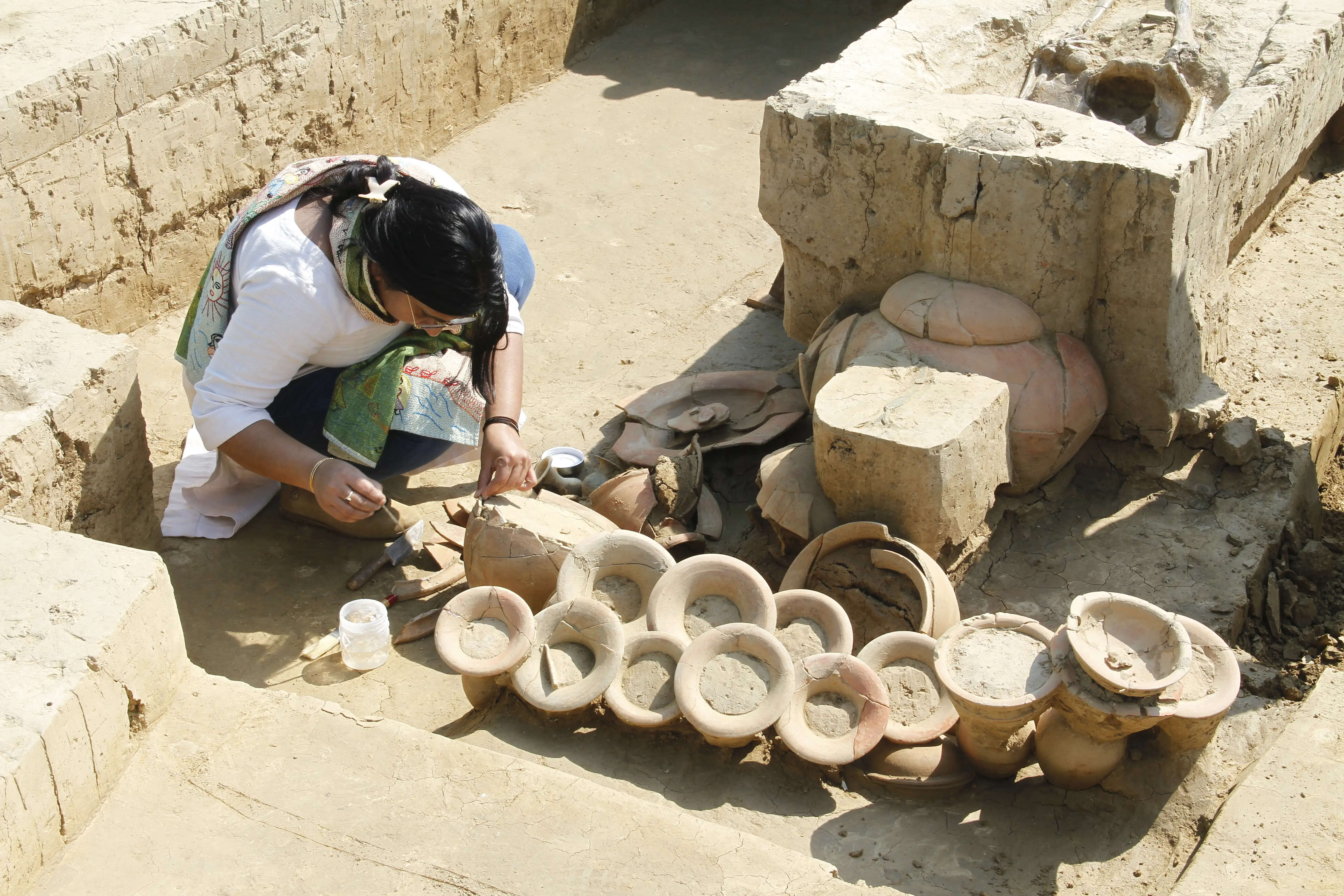 बागपत के गर्भ से निकल रहा प्राचीन समृद्ध संस्कृति का इतिहास
