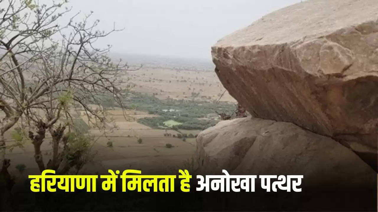 हरियाणा में अद्भुत लचीला पत्थर: एक अनोखी वैज्ञानिक धरोहर