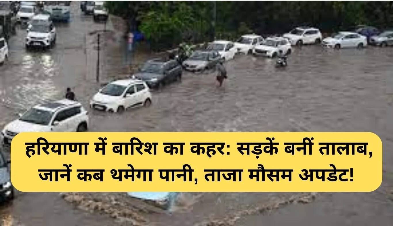 हरियाणा में बारिश का कहर: सड़कों पर जलभराव, मौसम का ताजा अपडेट