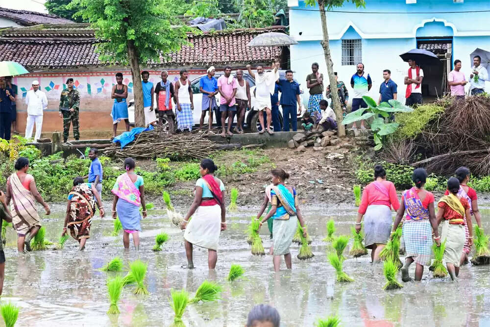 भारतीय कृषि: परंपरा से आधुनिकता की ओर एक यात्रा