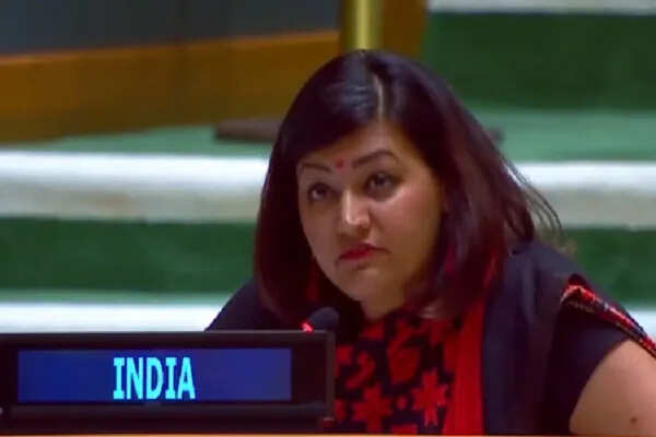 भारत ने संयुक्त राष्ट्र में पाकिस्तान के प्रधानमंत्री को दिया करारा जवाब