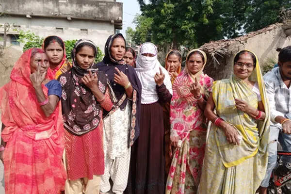 बिहार विधानसभा चुनाव ने स्थापित किए नए मानक, 67.13% मतदान