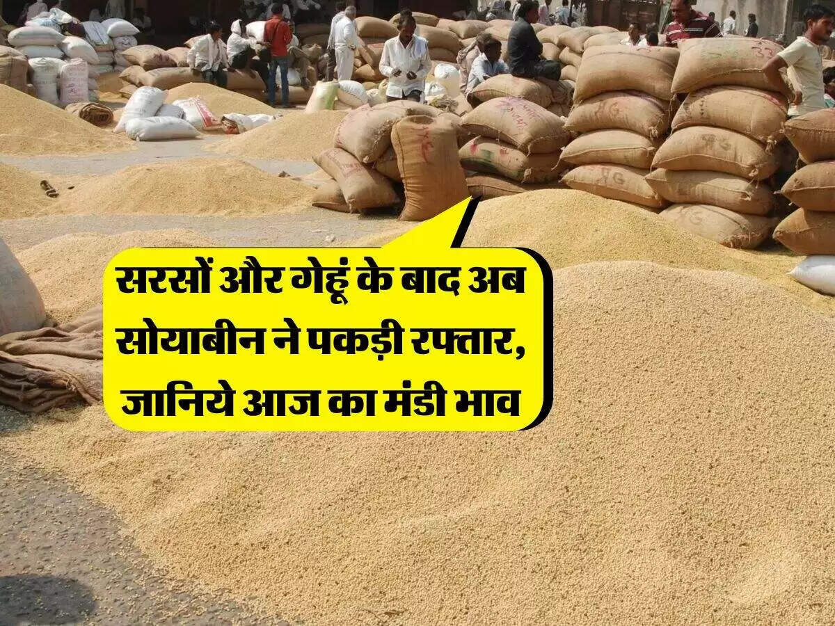सोयाबीन के भाव में अचानक आई तेजी, किसानों को हुआ लाभ