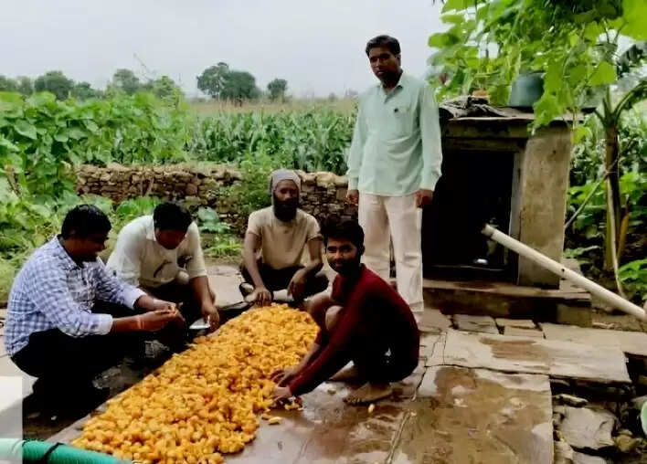 मध्‍य प्रदेश में वाटरशेड मिशन का नवाचार, कलस्टर आधारित सब्जी उत्पादन से आर्थिक रूप से सशक्त बन रहे किसान