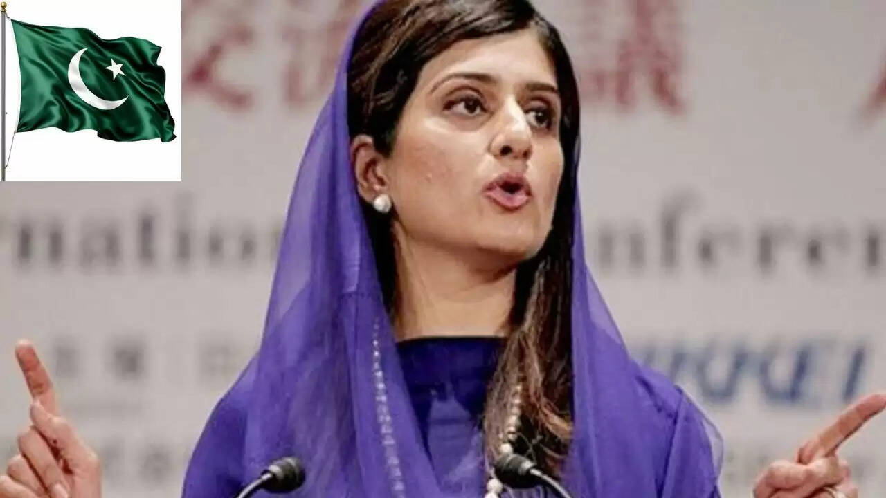 हिना रब्बानी खर का विवादास्पद बयान: आतंकी की पहचान पर सवाल