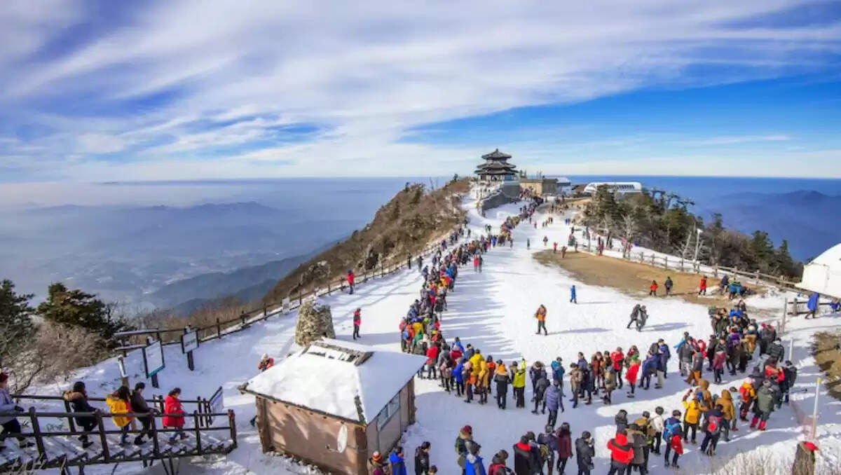 मोहाली के पास घूमने के लिए बेहतरीन हिल स्टेशनों की सूची