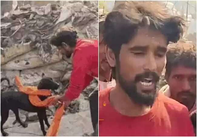 बिहार में बुलडोजर कार्रवाई पर बीजेपी समर्थक का अनोखा विरोध