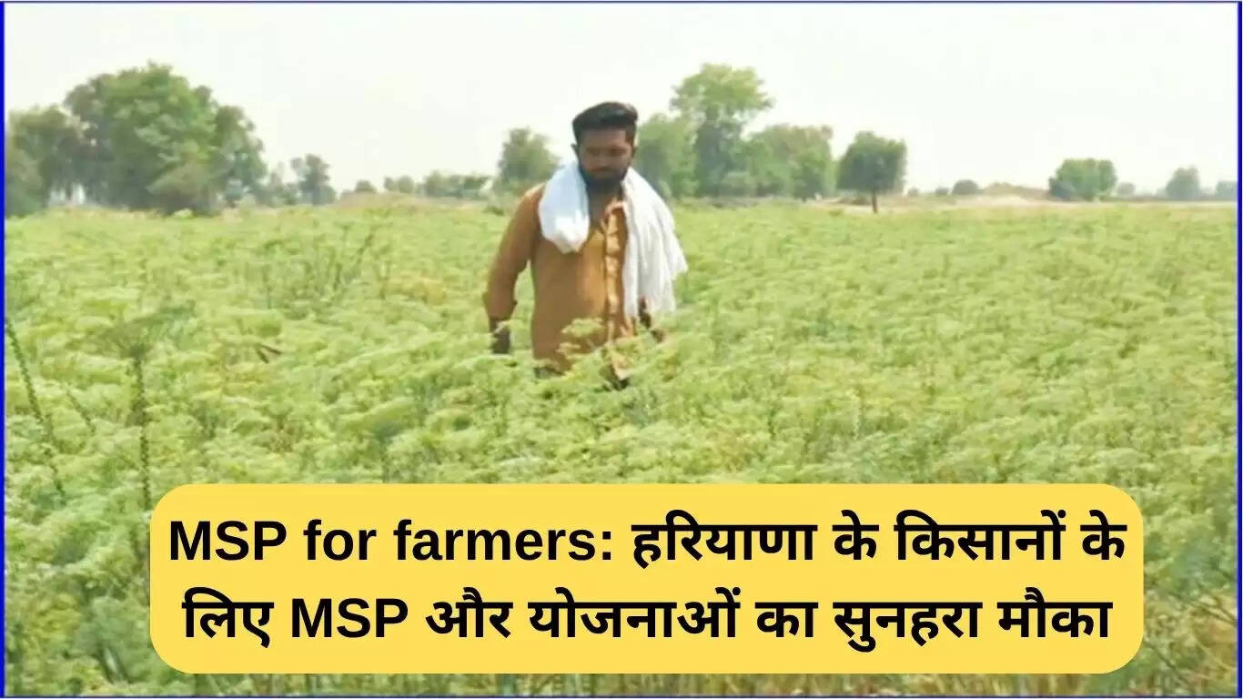 हरियाणा के किसानों के लिए MSP और योजनाओं का सुनहरा अवसर