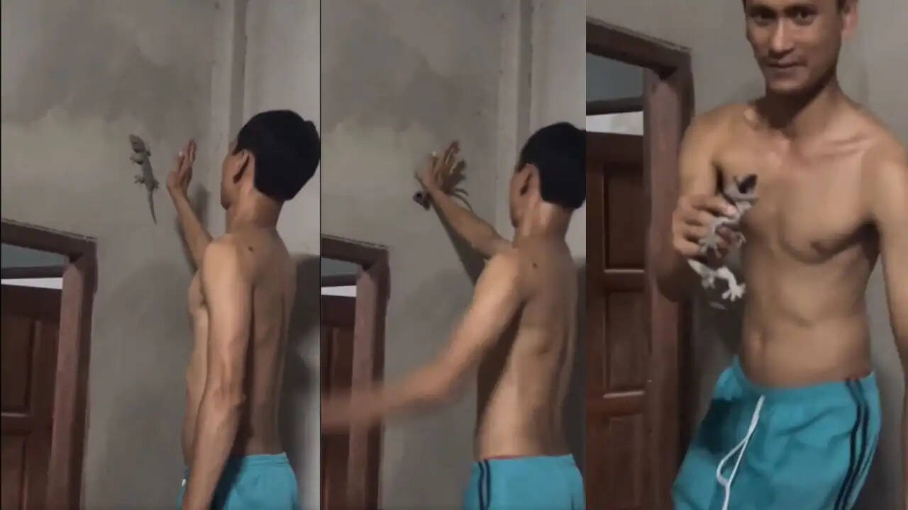 नंगे हाथों से छिपकली पकड़ने वाला वीडियो हुआ वायरल