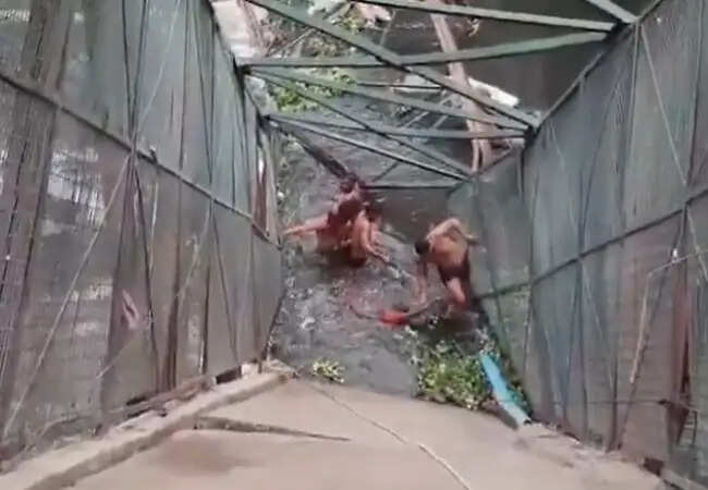 दिल्ली में फुट ओवरब्रिज गिरने से महिला की तलाश जारी