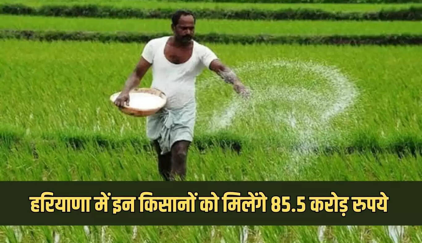 हरियाणा के किसानों के लिए राहत: 85.5 करोड़ रुपये का मुआवजा