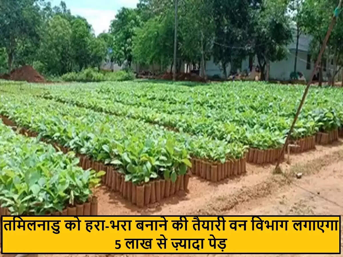 तमिलनाडु का 'ग्रीन मिशन': 5 लाख पेड़ लगाने की योजना