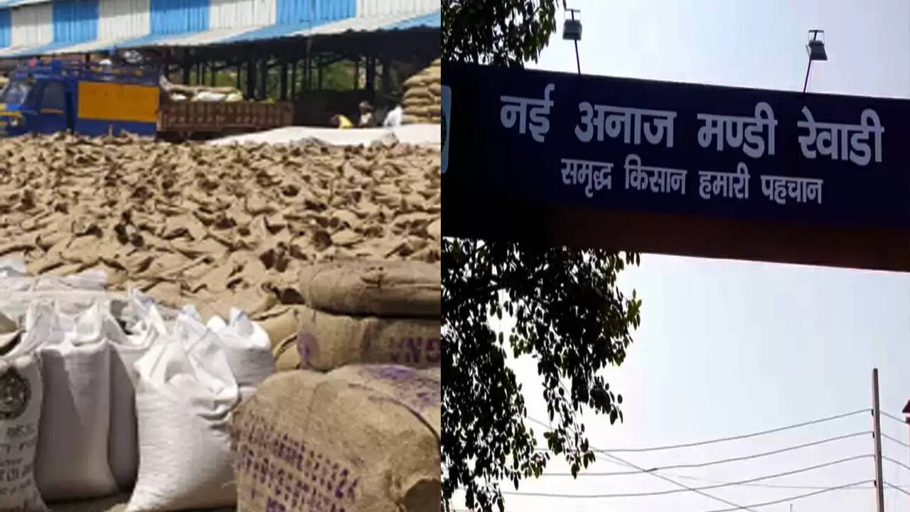 रेवाड़ी मंडी में ई-खरीद पोर्टल की समस्या से फंसे 3 हजार क्विंटल बाजरा