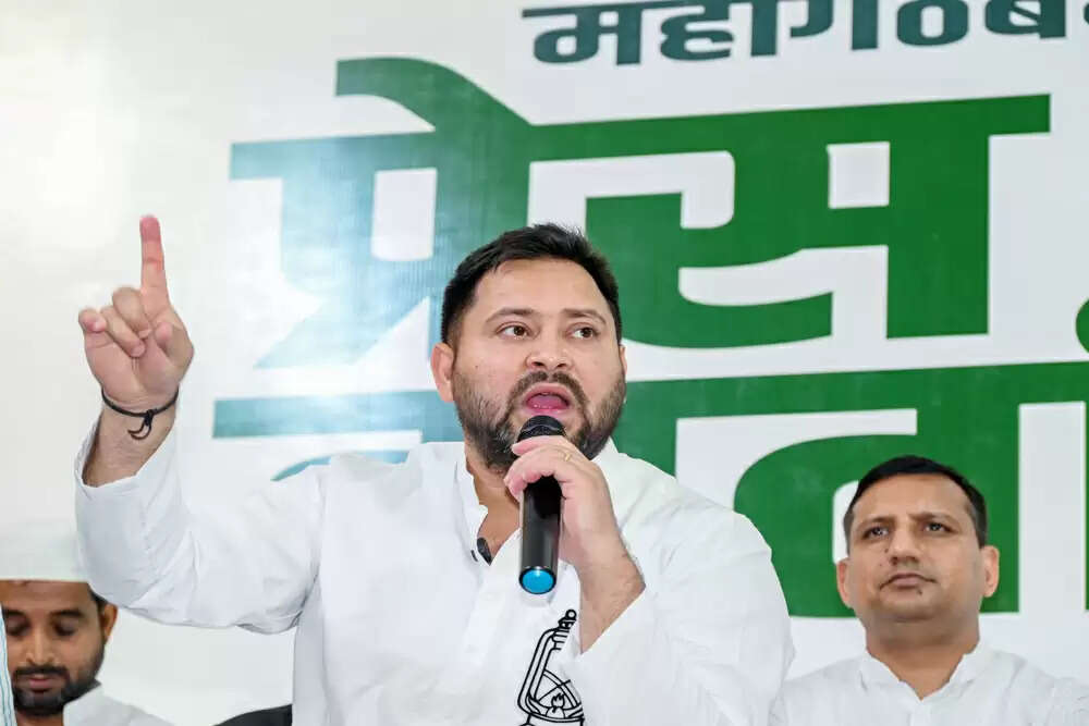 तेजस्वी यादव का महिलाओं के लिए 30 हजार रुपए का वादा, चुनावी सभाओं में किए कई बड़े ऐलान