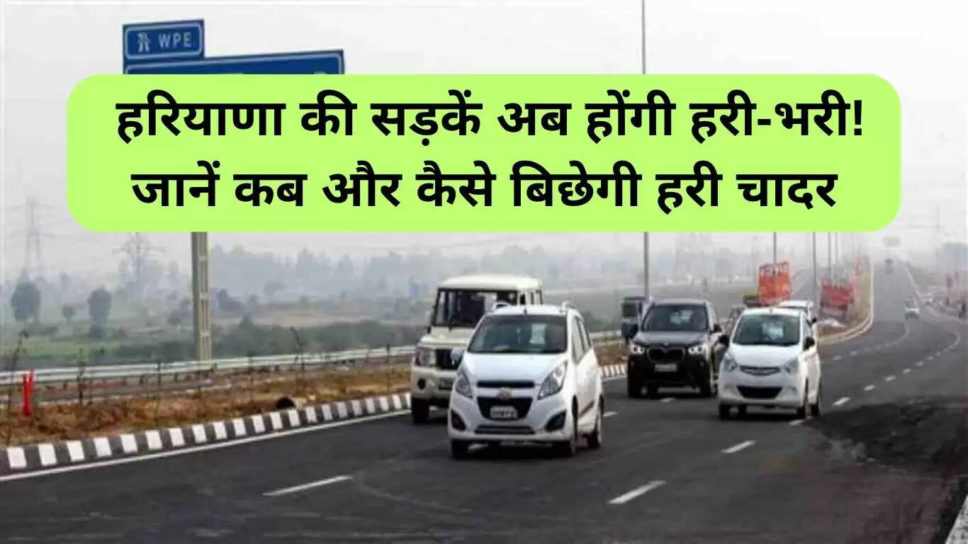 हरियाणा में केएमपी एक्सप्रेसवे पर हरियाली का नया अध्याय