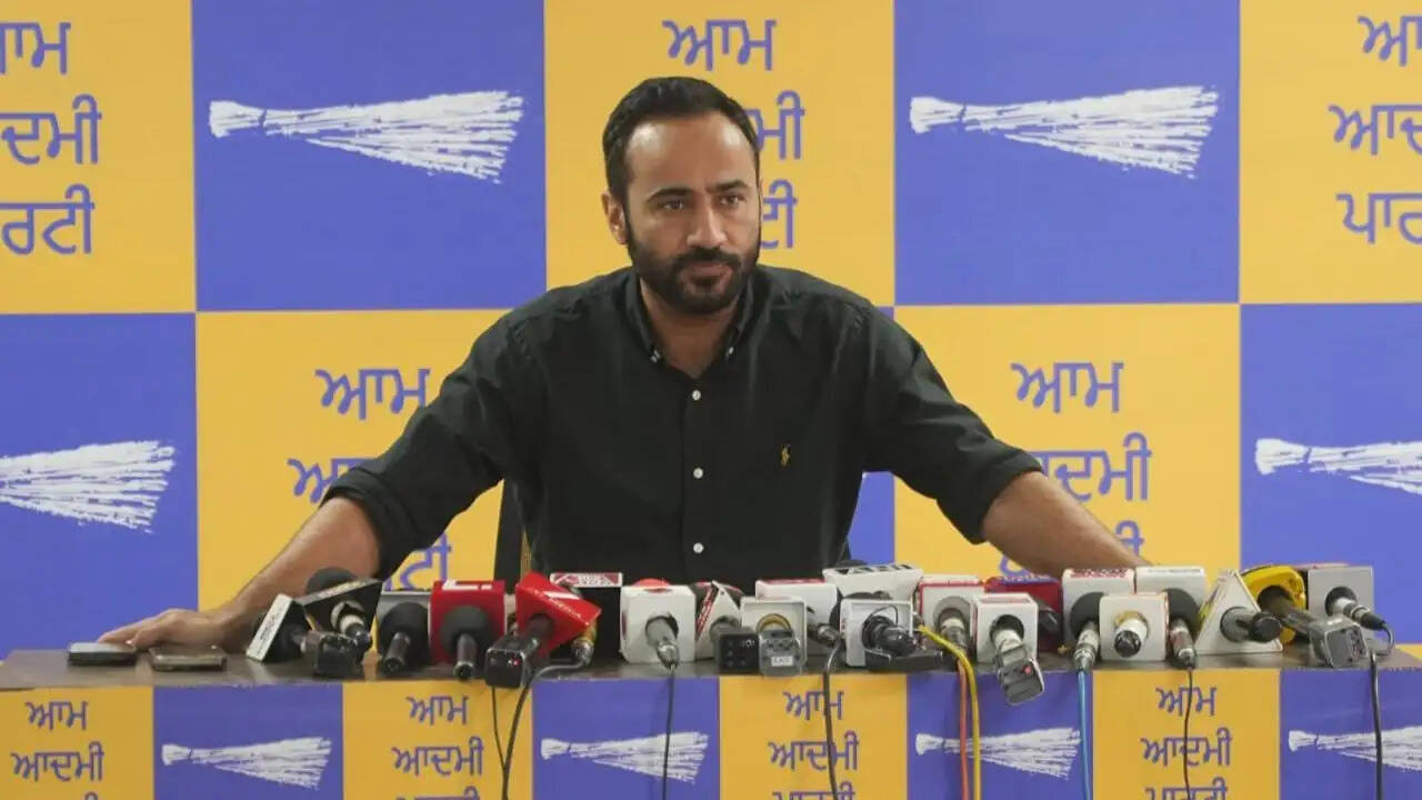 गुरमीत सिंह मीत हेयर का भाजपा पर हमला: पंजाब में लोकतंत्र की रक्षा का संकल्प