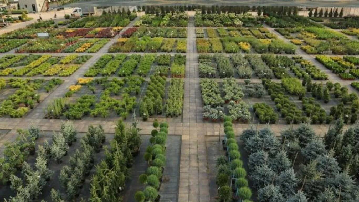 महेंद्रगढ़ में बागवानी विकास केंद्र से किसानों को मिल रहा नया जीवन
