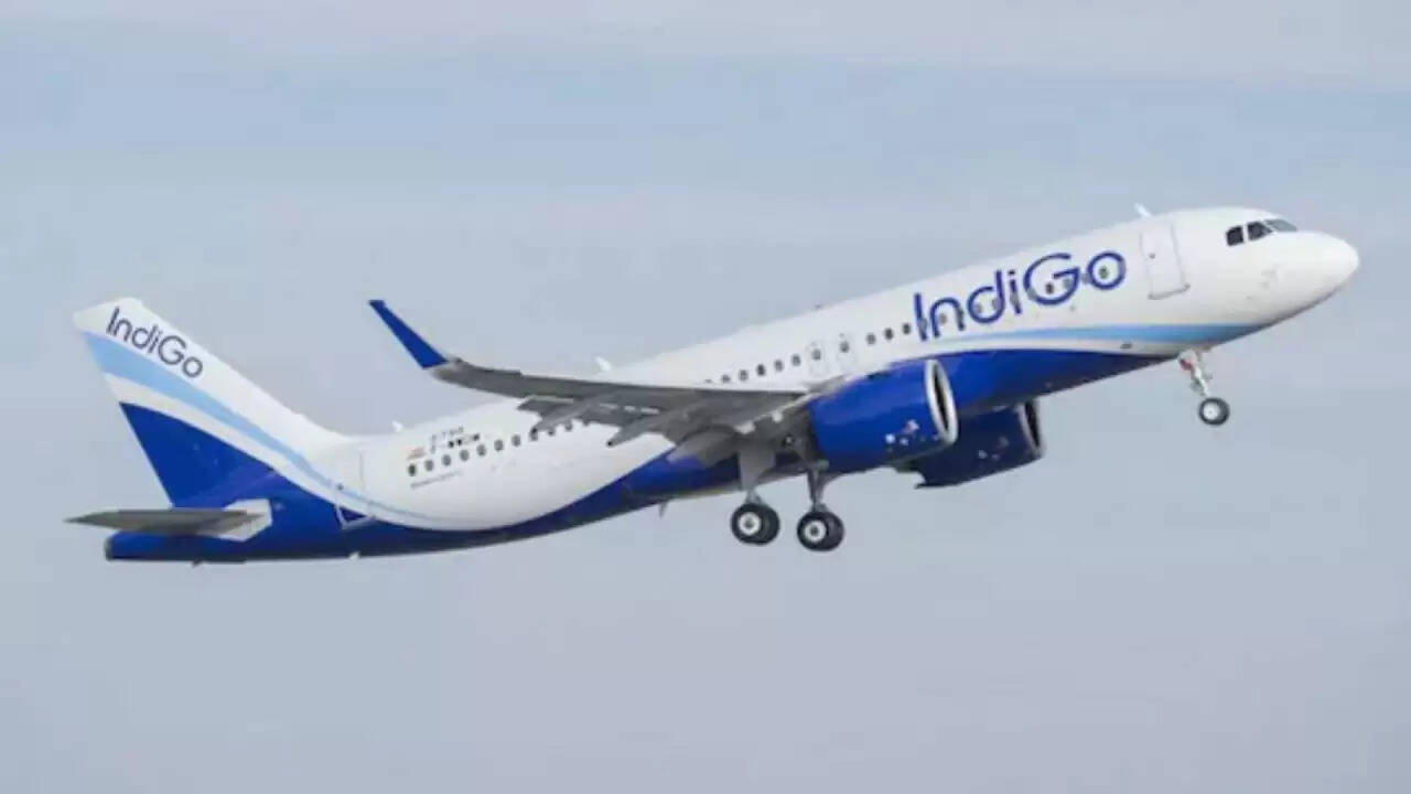 IndiGo Flight Faces Emergency Landing After Bird Strike: All Passengers Safe