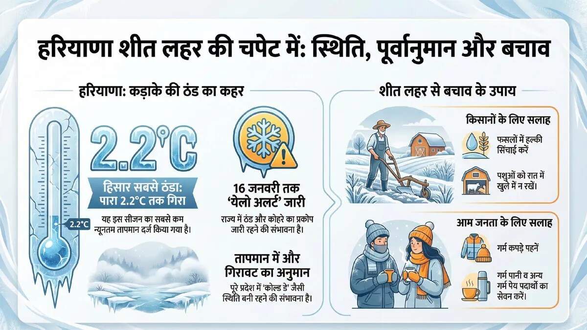 हरियाणा में ठंड का कहर: 16 जनवरी तक येलो अलर्ट जारी