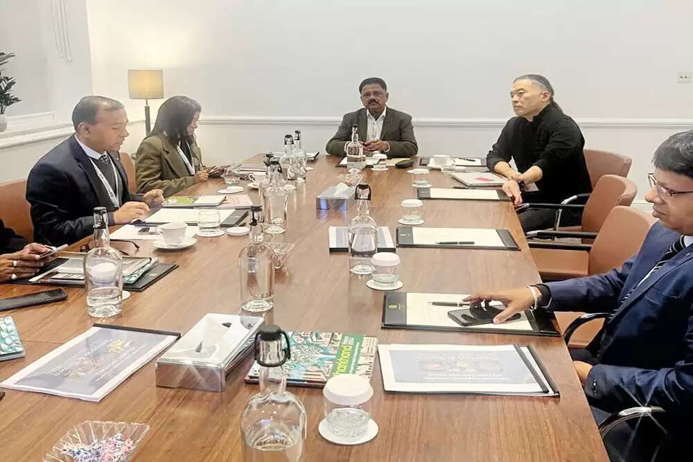 झारखंड की मेगालिथिक विरासत के संरक्षण के लिए अंतरराष्ट्रीय सहयोग