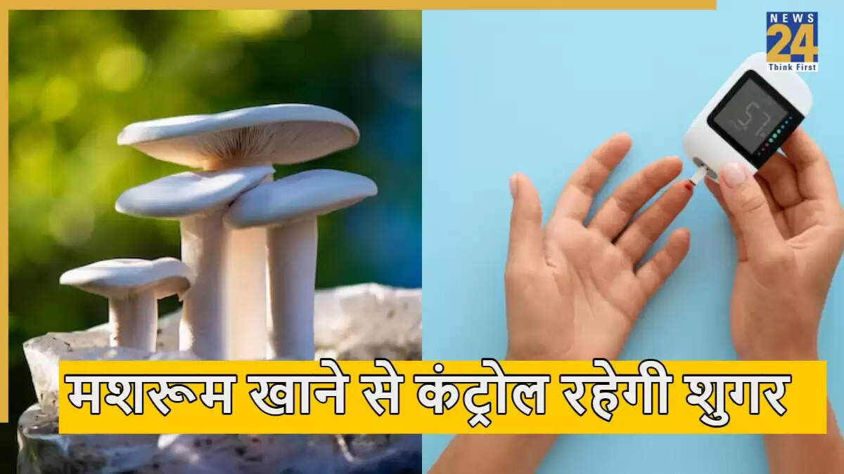 मिल्की मशरूम: डायबिटीज नियंत्रण में सहायक नई रिसर्च