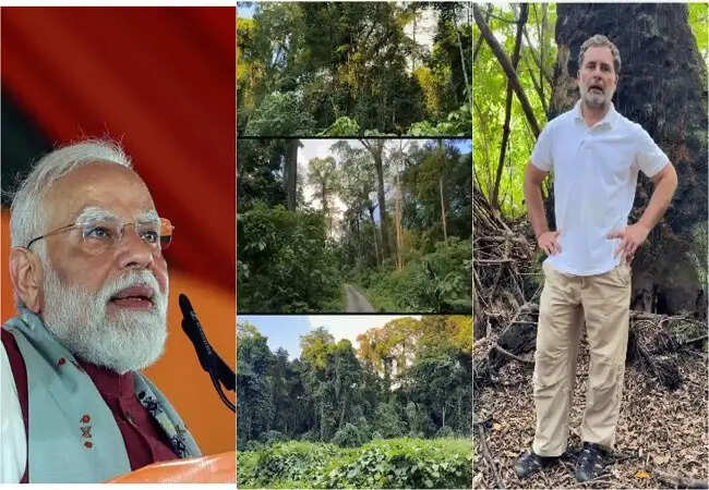 राहुल गांधी ने अंडमान-निकोबार में भूमि और वन अधिकारों की रक्षा की अपील की