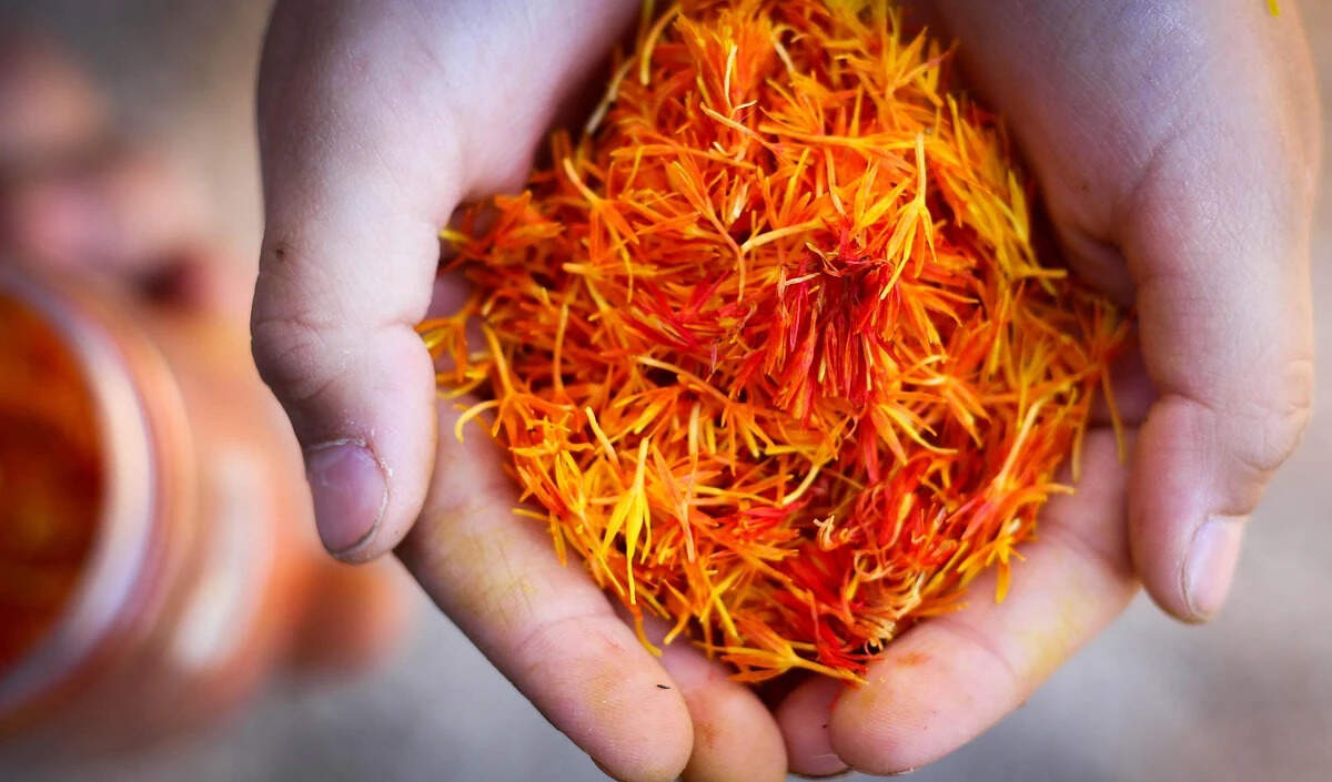 प्रेग्नेंसी में केसर के सेवन के लाभ: जानें कैसे करें इसका उपयोग