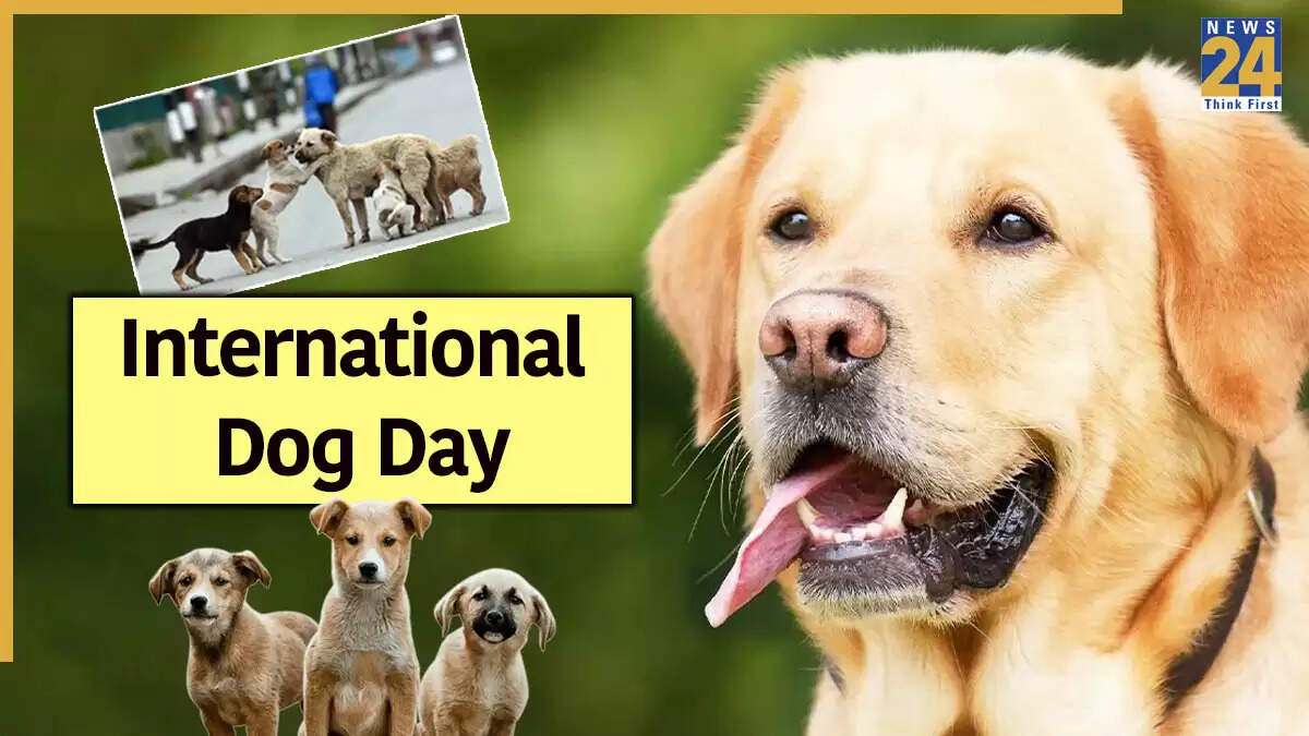 International Dog Day 2025: कुत्तों के प्रति प्यार और उनकी अहमियत