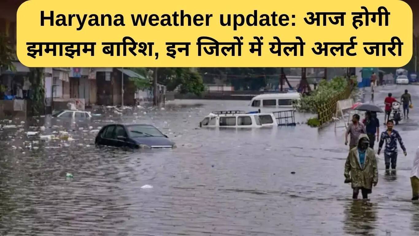 हरियाणा में भारी बारिश का येलो अलर्ट, जानें किन जिलों पर असर पड़ेगा