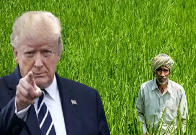 भारतीय किसानों को अमेरिकी टैरिफ में छूट से मिली राहत