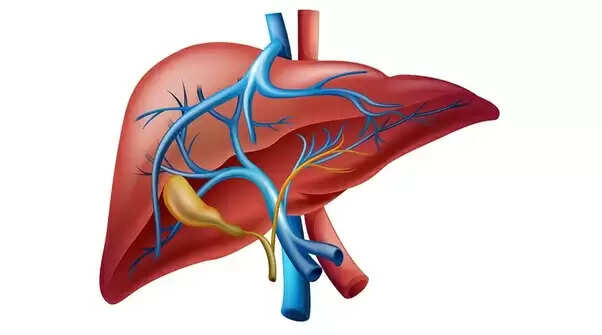लीवर स्वास्थ्य के संकेत: पहचानें और बचें गंभीर समस्याओं से
