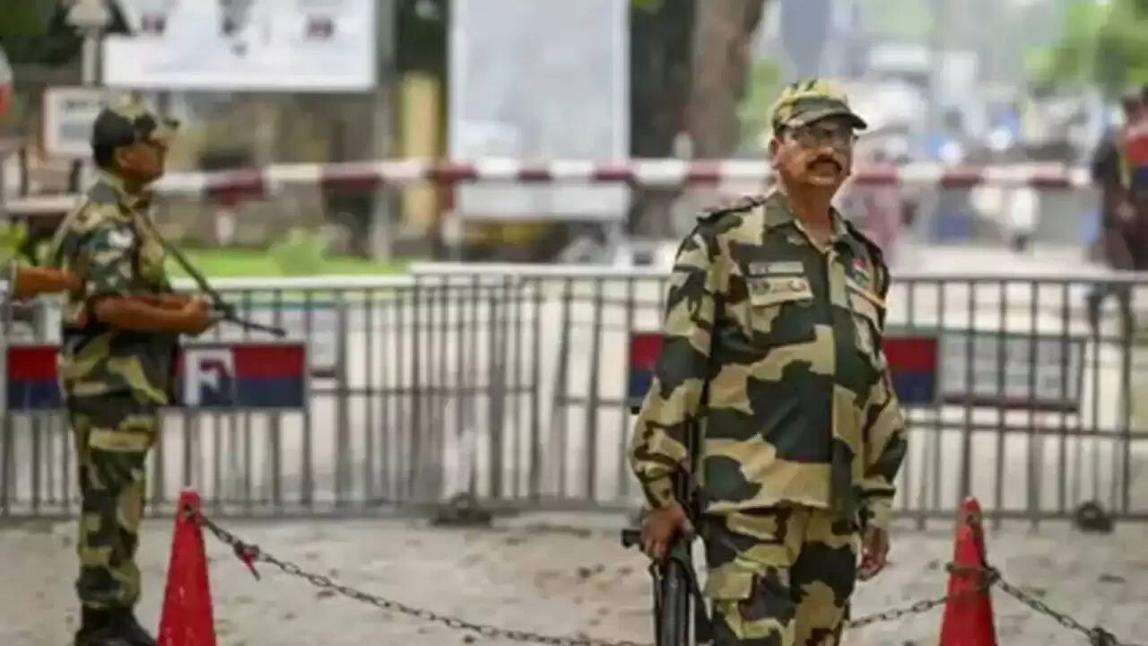 पाकिस्तान के ड्रोन हमलों का BSF ने किया सफल मुकाबला, जानिए पूरी कहानी