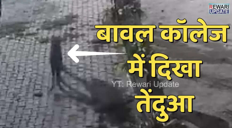 तेंदुआ बावल कॉलेज में: रेवाड़ी में चल रहा सर्च ऑपरेशन