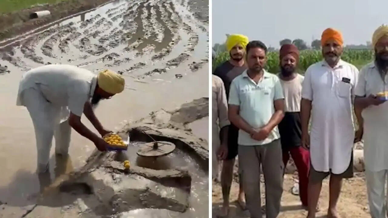 पंजाब में किसानों के लिए खुशखबरी: नहर का पानी खेतों तक पहुंचा