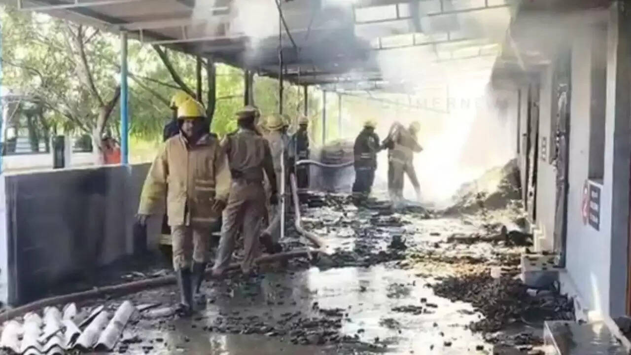 तमिलनाडु में पटाखा फैक्ट्री में विस्फोट से 20 लोगों की मौत