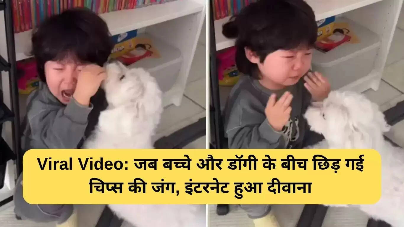 बच्चे और डॉगी के बीच चिप्स की मजेदार जंग का वायरल वीडियो