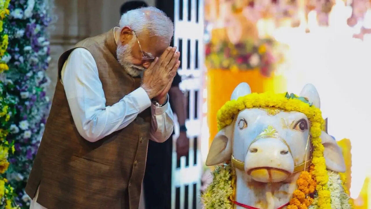 क्या भारत ऊर्जा संकट की ओर बढ़ रहा है? पीएम मोदी की अपील ने बढ़ाई चिंता