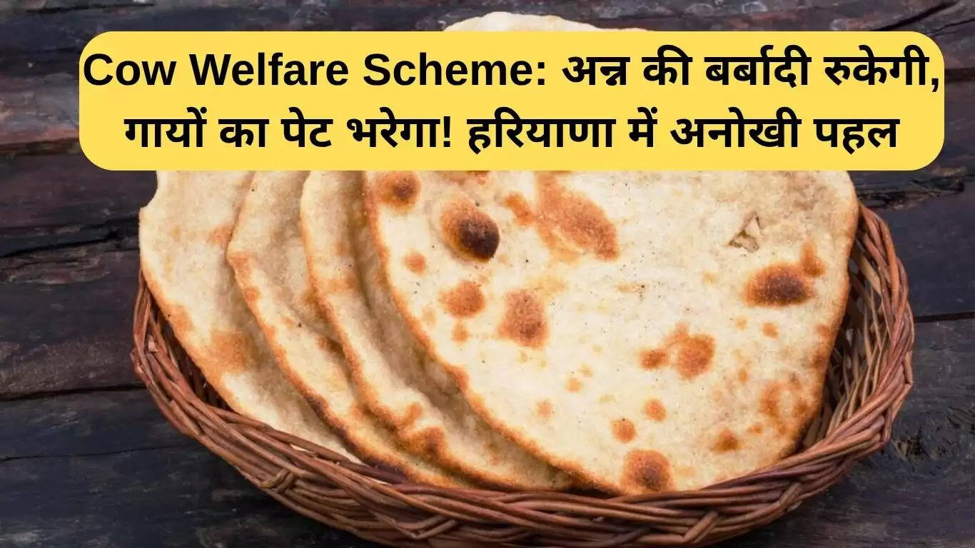 हरियाणा में गायों के कल्याण के लिए अनोखी पहल: भोजन की बर्बादी रोकेगी योजना