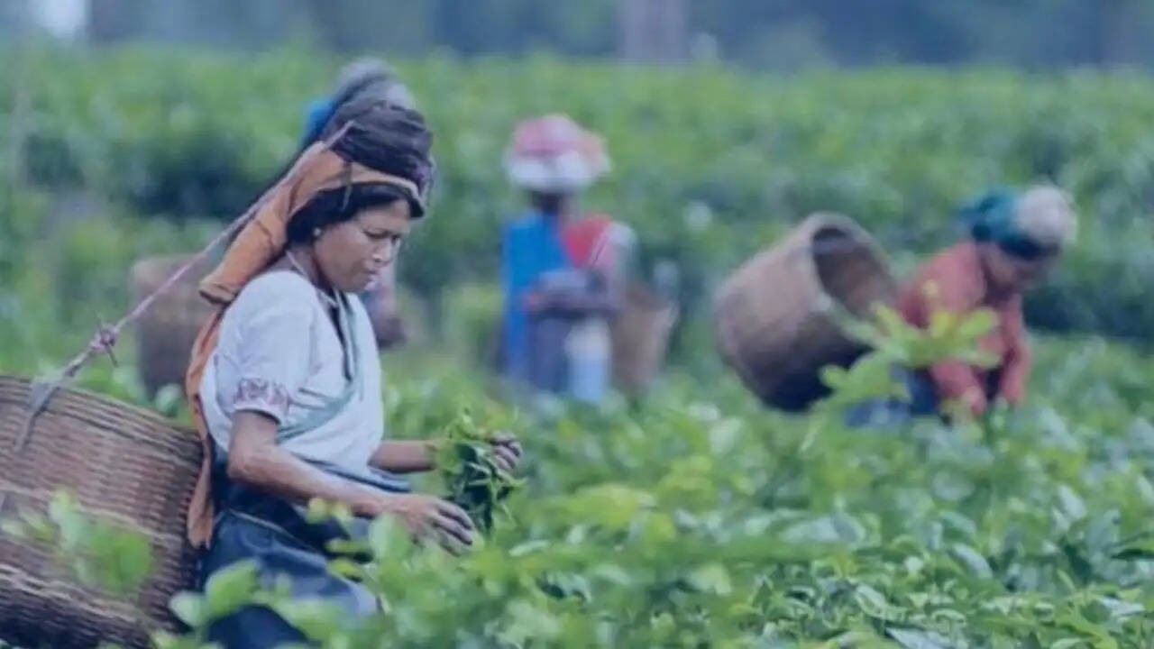 पश्चिम बंगाल विधानसभा चुनाव: उत्तरी बंगाल की राजनीति में बदलाव की बयार