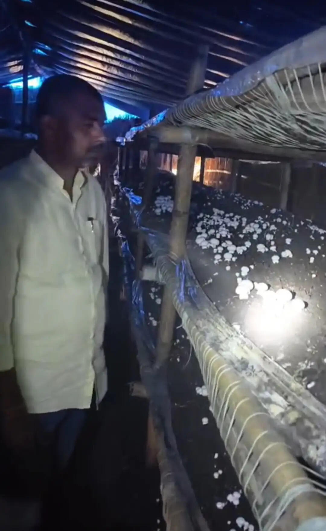 यूपी में मशरूम की खेती के प्रति बढ़ता किसानों का रुझान, अयोध्या के उत्सव ने डेढ़ लाख से खड़ा किया करोड़ों का कारोबार
