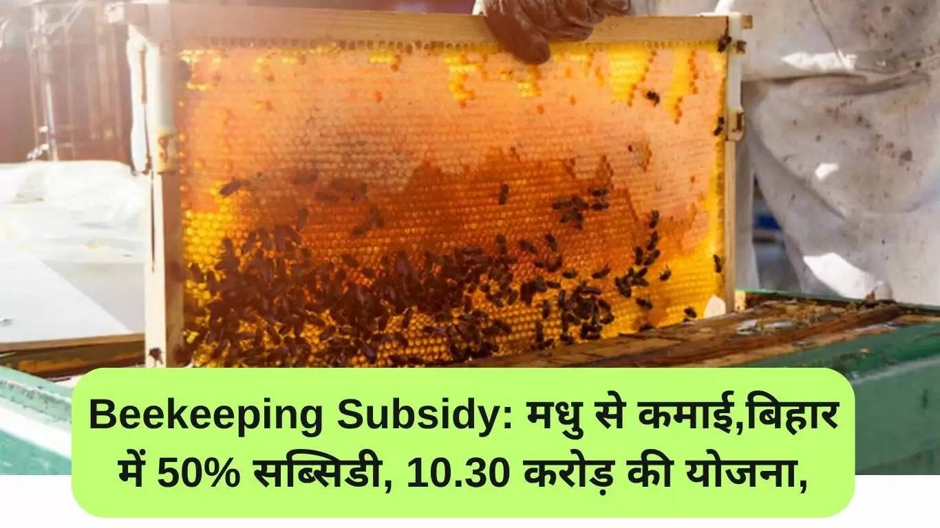 बिहार में मधुमक्खी पालन के लिए 50% अनुदान योजना: 10.30 करोड़ रुपये का लाभ
