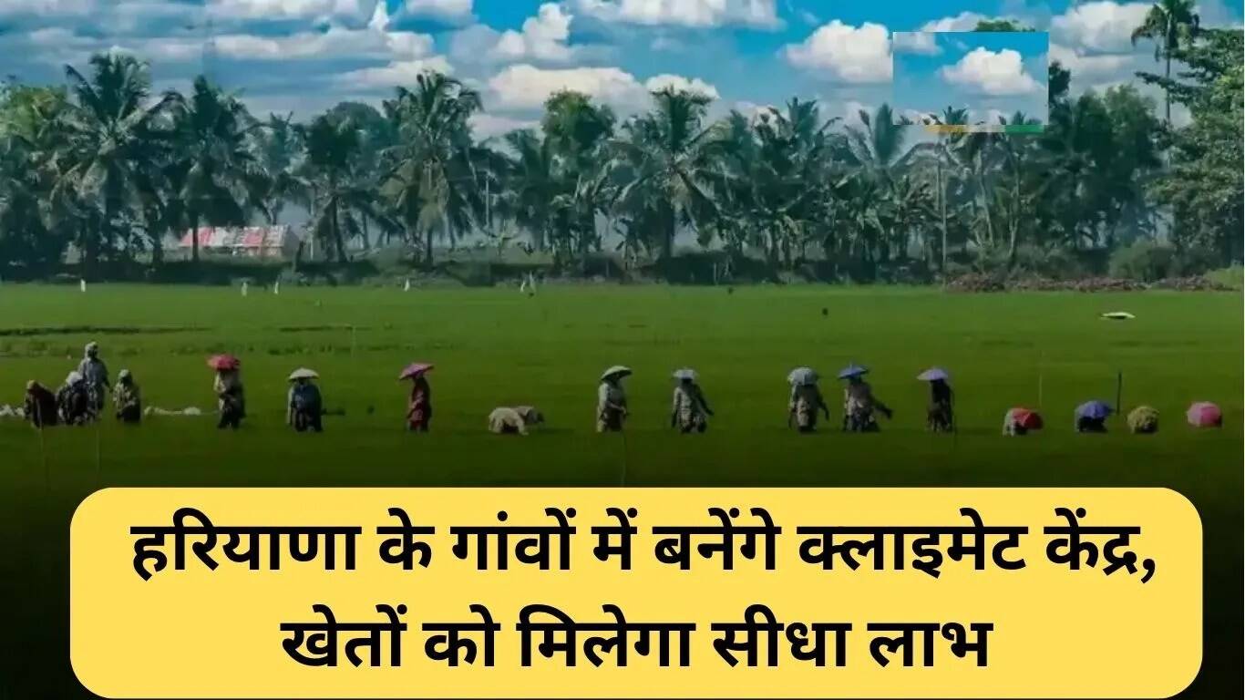 हरियाणा का जलवायु लचीलापन योजना: गांवों में जलवायु केंद्रों की स्थापना