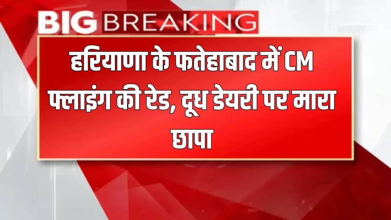 हरियाणा के फतेहाबाद में सीएम फ्लाइंग की छापेमारी, दूध डेयरी पर कार्रवाई