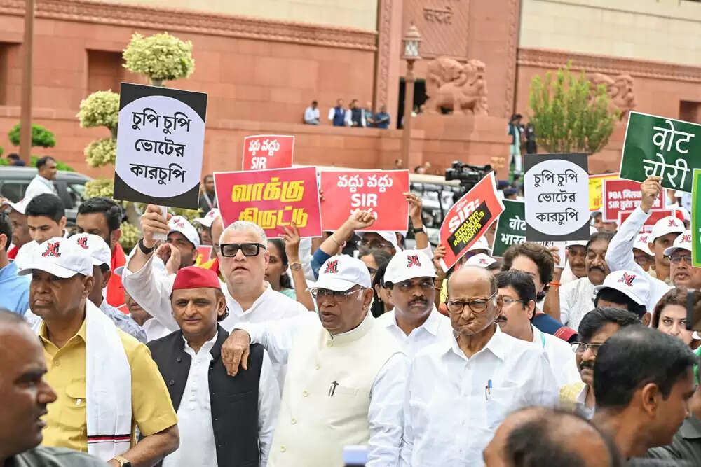 विपक्षी सांसदों का चुनाव आयोग के खिलाफ प्रदर्शन, गड़बड़ियों का लगाया आरोप