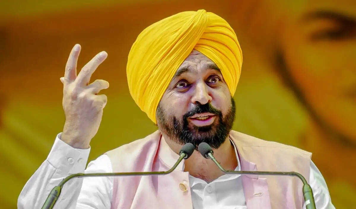 पंजाब में गेहूं और चावल के भंडारण के लिए विशेष मालगाड़ियां चलाने का निर्णय